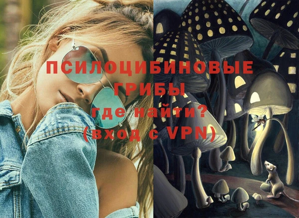 соль ск Алексеевка