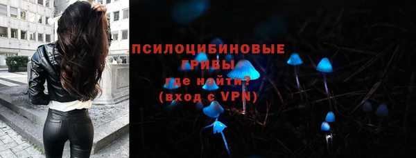 герыч Алексин