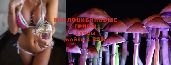 герыч Алексин