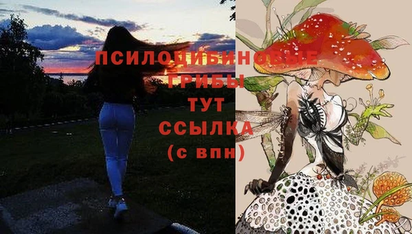 соль ск Алексеевка