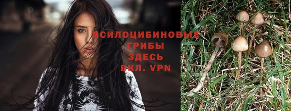меф Алзамай