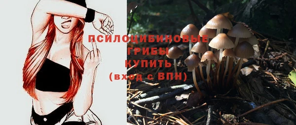 герыч Алексин